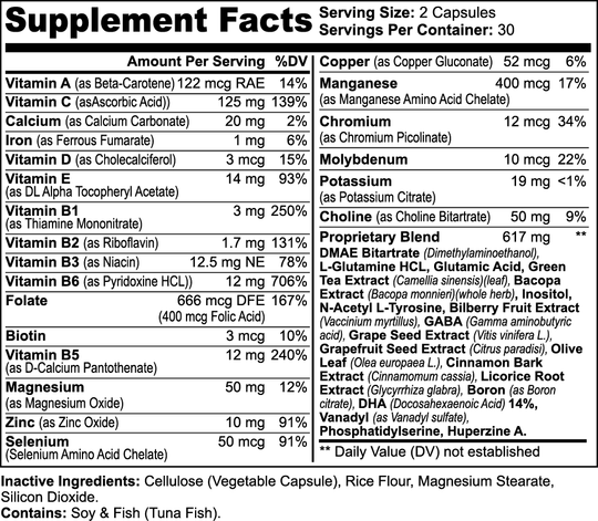 FOCUS (Cognitive Support & Focus) | PrimeFuelz